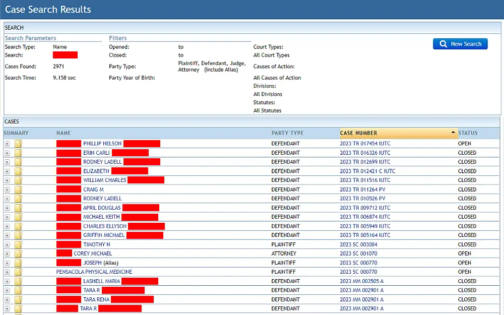 A screenshot showing a case search results displaying the summary of the case, name, party type, case number and the status from the search parameters such as search type and name and other filter criteria.