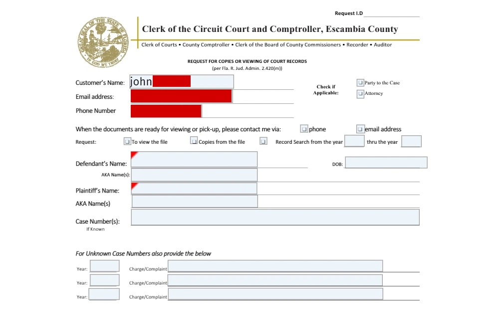 A screenshot of the form for court records requests shows fields for record information, such as the names of the plaintiff and defendant, case number, and pre-filled customer information.