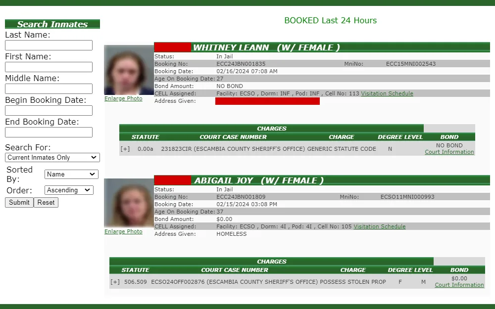 Screenshot from the inmate lookup of the corrections department of Escambia county displaying the search tool and the inmate's mugshot, name, status, booking details, address. and charges.
